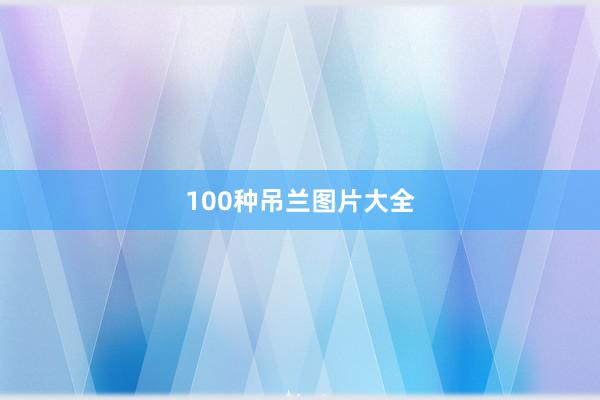 100种吊兰图片大全