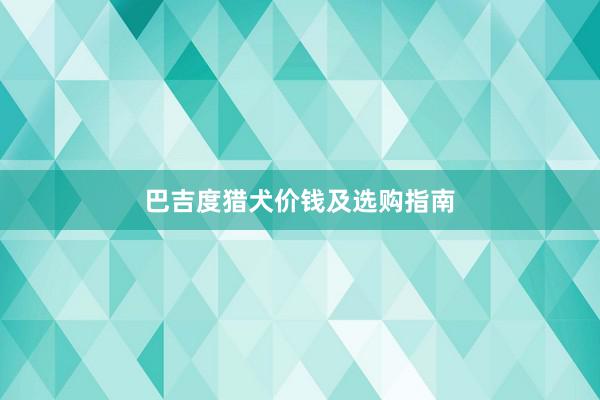 巴吉度猎犬价钱及选购指南