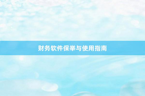 财务软件保举与使用指南