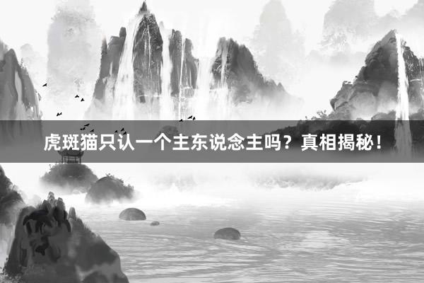虎斑猫只认一个主东说念主吗？真相揭秘！